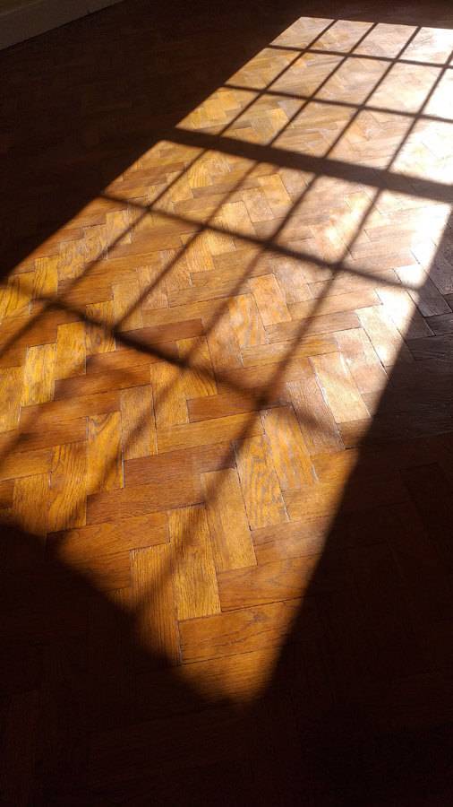 wooden floor in sunlight